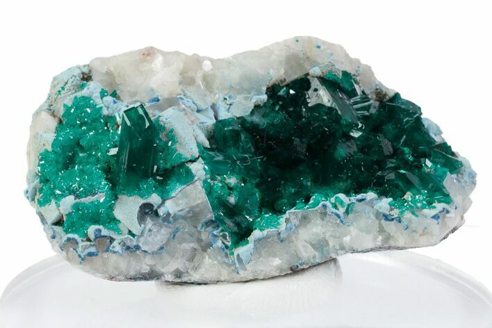 Gemmy Dioptase Crystals on Blue Plancheite & Calcite - Congo #379988